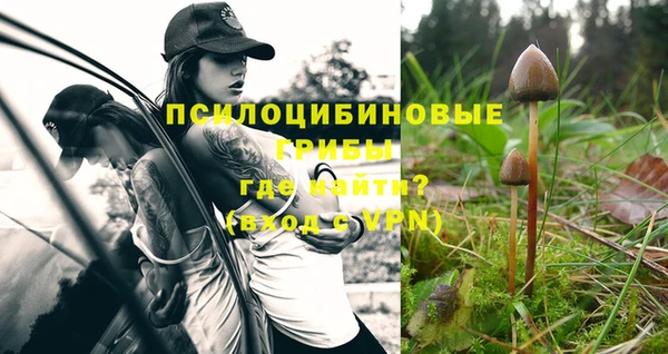 соль курить ск Аркадак