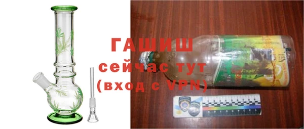 прущие грибы Армянск