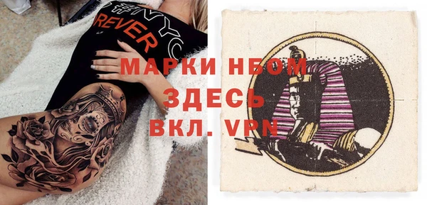 прущие грибы Армянск