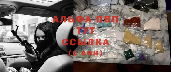 прущие грибы Армянск