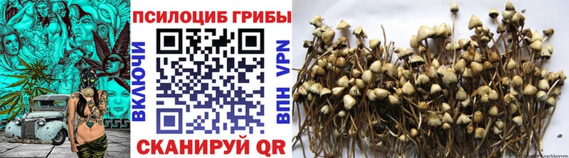 Галлюциногенные грибы мицелий  Салехард 